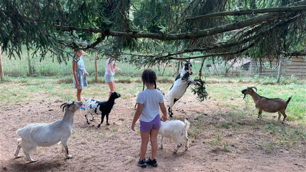 Les petits fermiers-cavaliers - Image 2