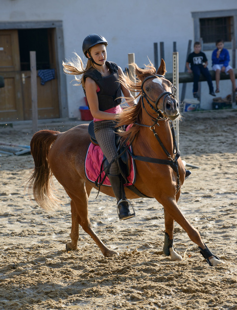 Stage équitation en formule simple - Image 2