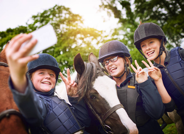 Stage équitation en formule simple