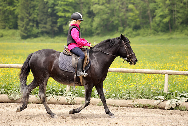 Équitation loisir