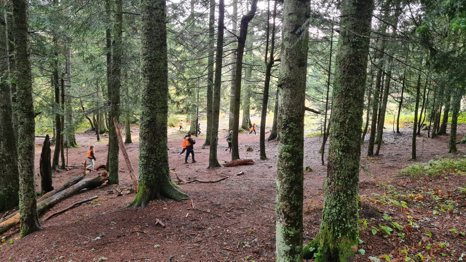 Aventurier du Pilat ( HIVER) - Image 2