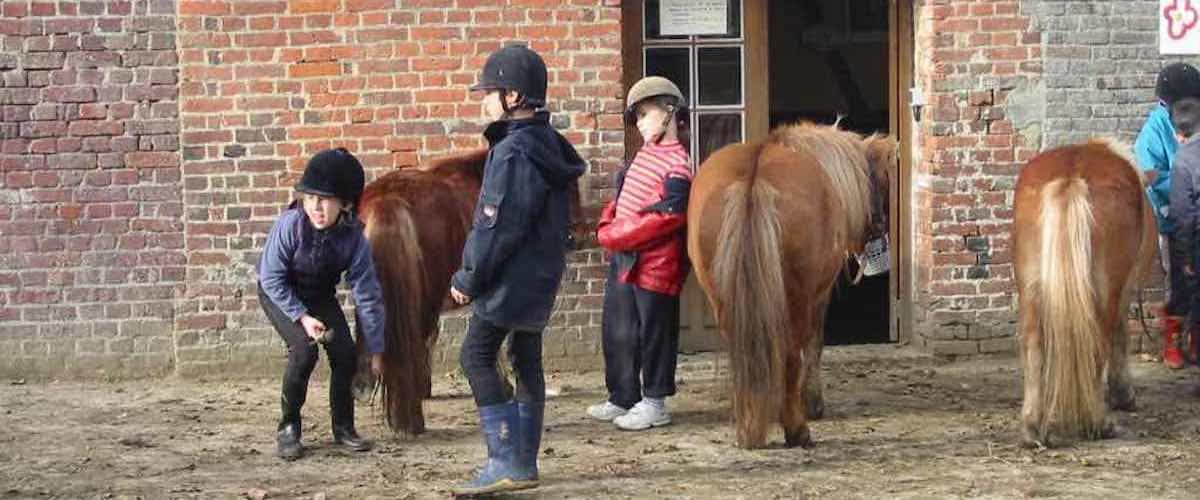 Colonie de vacances poney tendresse