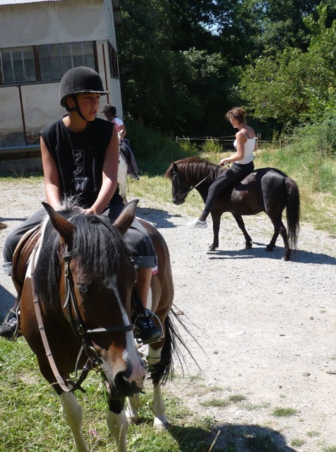 Colonie de vacances passion équitation 