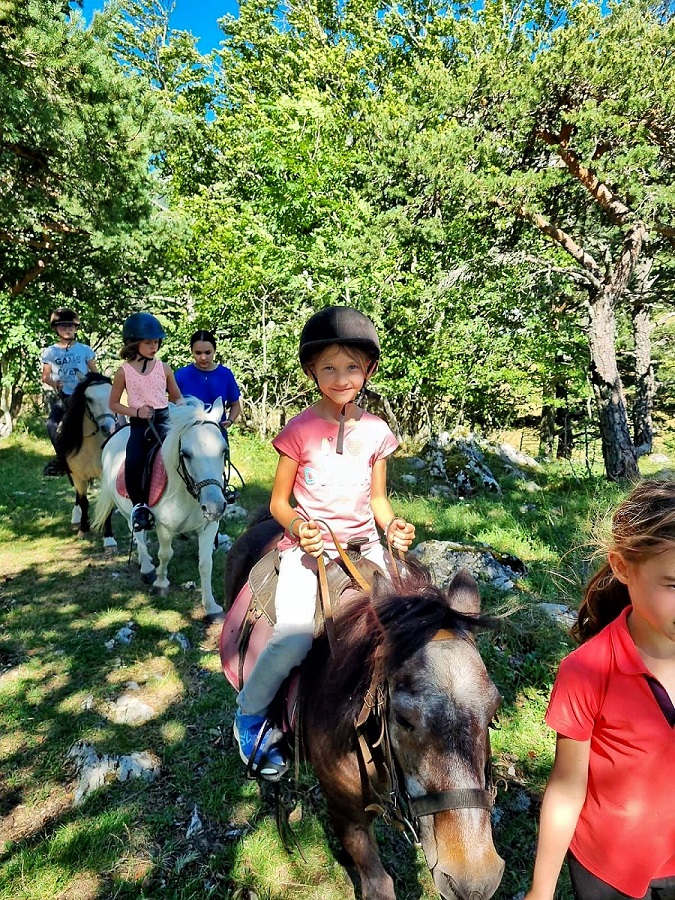 Coup de coeur poney
