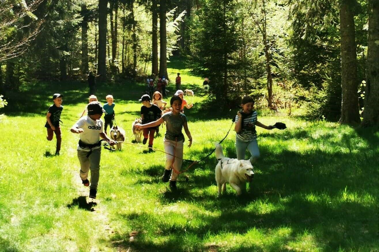 Cani-trappeurs du Vercors