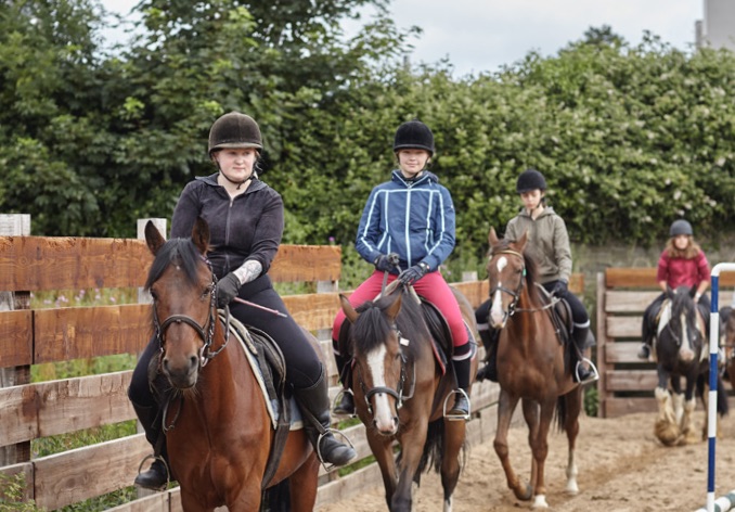 Horse Camp Hastings UK en résidence