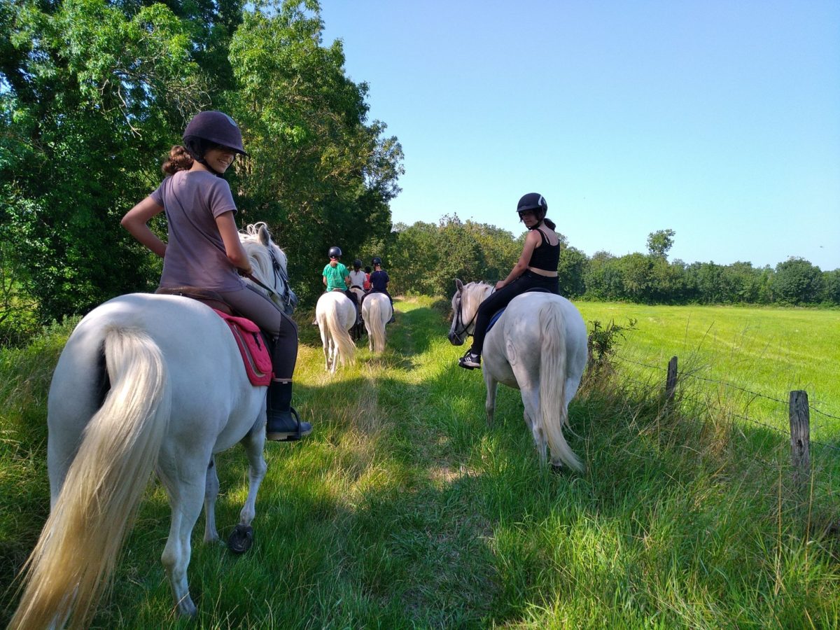 Séjour randonnée à cheval