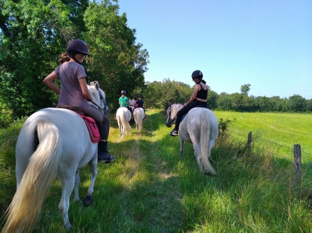 Séjour équitation : Cavalier par nature 