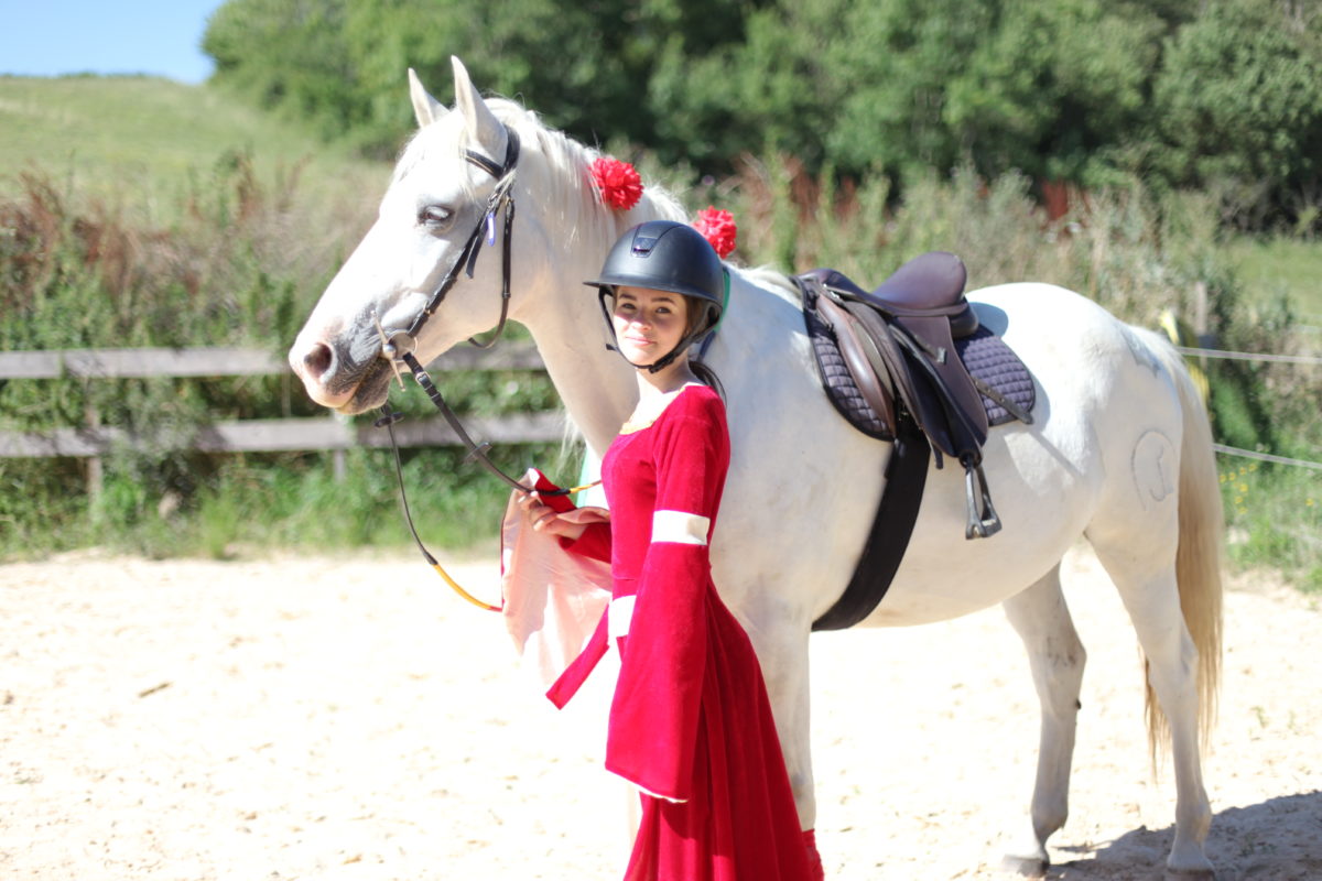 Séjour équitation préparation des galops 2-3