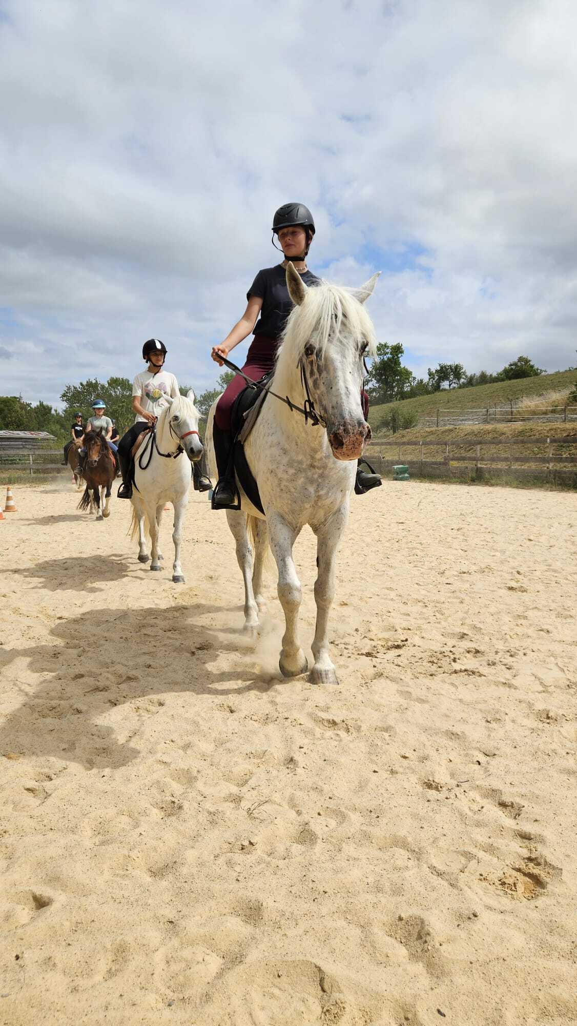 Stage d'équitation - tir à l'arc à cheval et balade