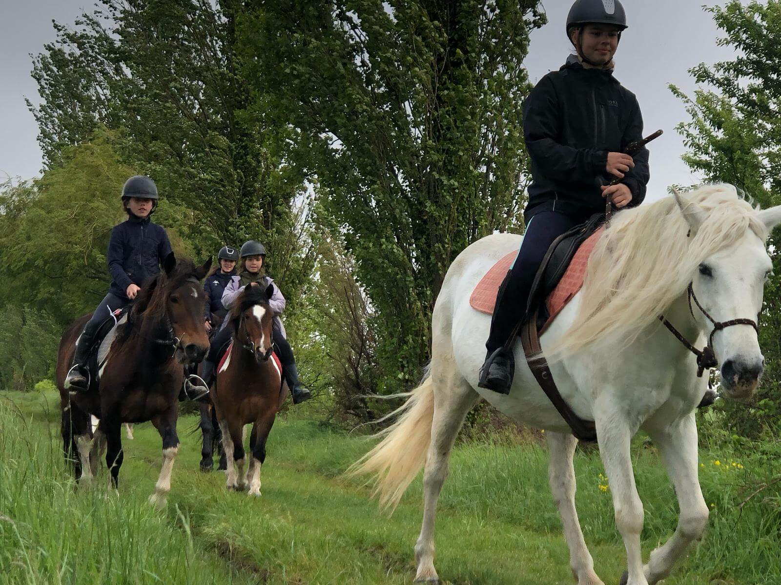 Séjour équitation nature : balades et équitation éthologique 12-17