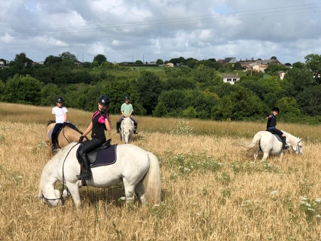 Séjour équitation nature : balades et équitation éthologique 8-11