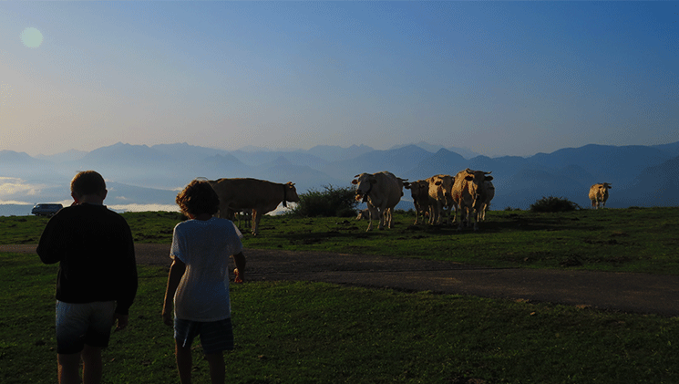 Sous les étoiles d'Iraty