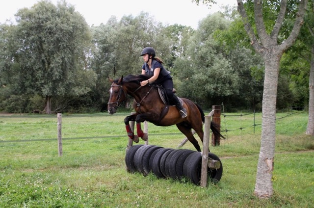 Colonie équitation Perfectionnement technique Galop 4 et plus