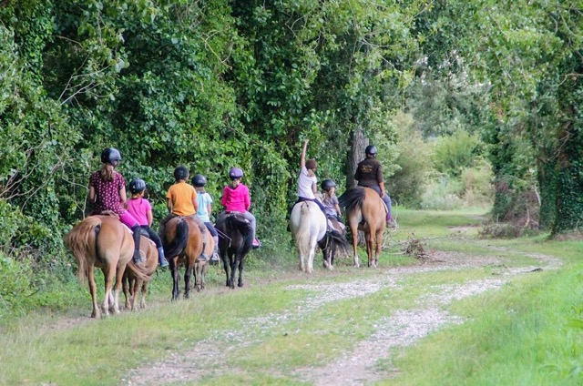 Séjour Poney 6-9ans à 2h de Lille/Paris