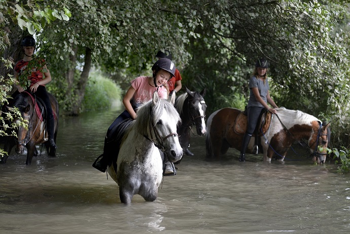 Séjour Passion Equitation à 2h de Paris/Lille