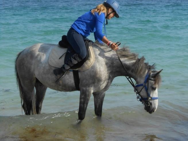 Evasion Equestre à Belle-Ile