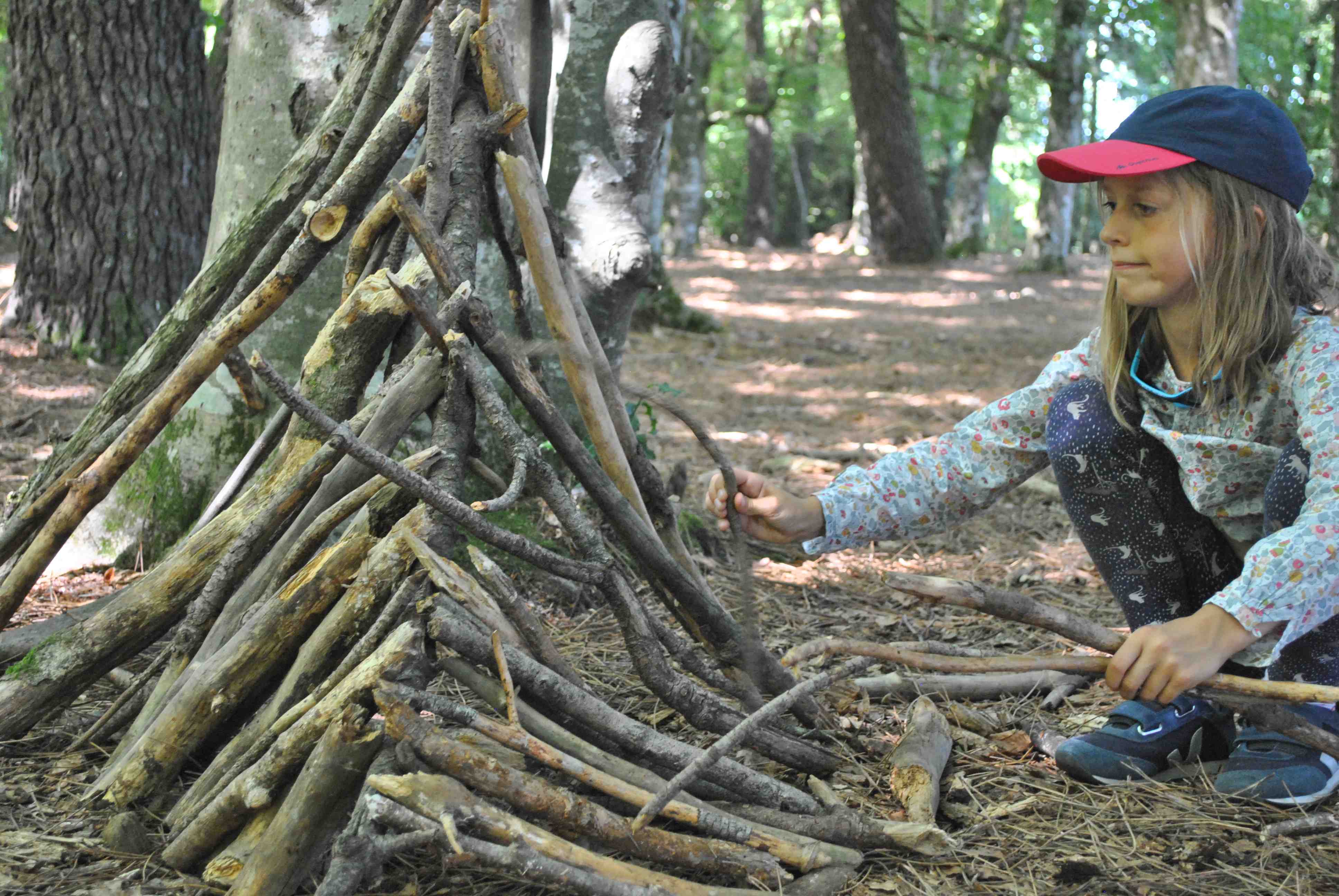 Immersion Forêt