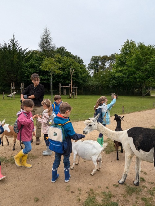 P'tite colo au parc 6-8 ans - Image 1
