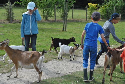 Les acteurs natures- J'AGIS POUR LA NATURE