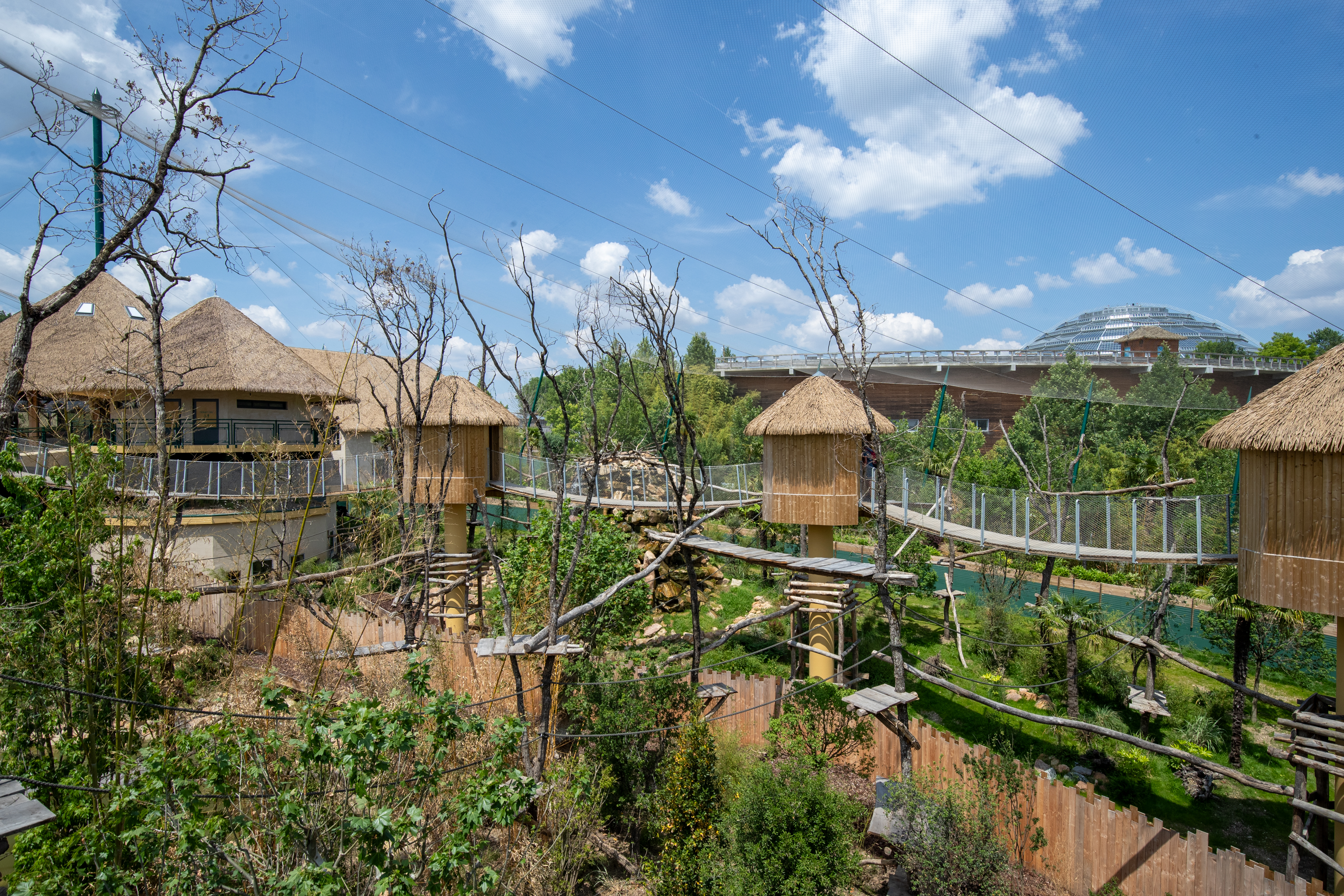 Zoo de Beauval & découverte des châteaux 