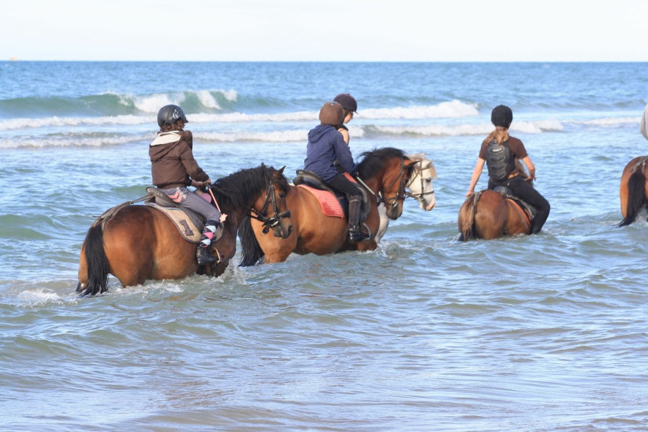 Stage équitation en Normandie