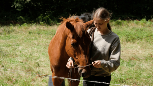 Stage d'équitation dans le Morbihan 12-17 - Image 3