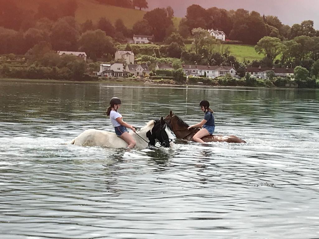 Anglais et équitation à Cork en résidence