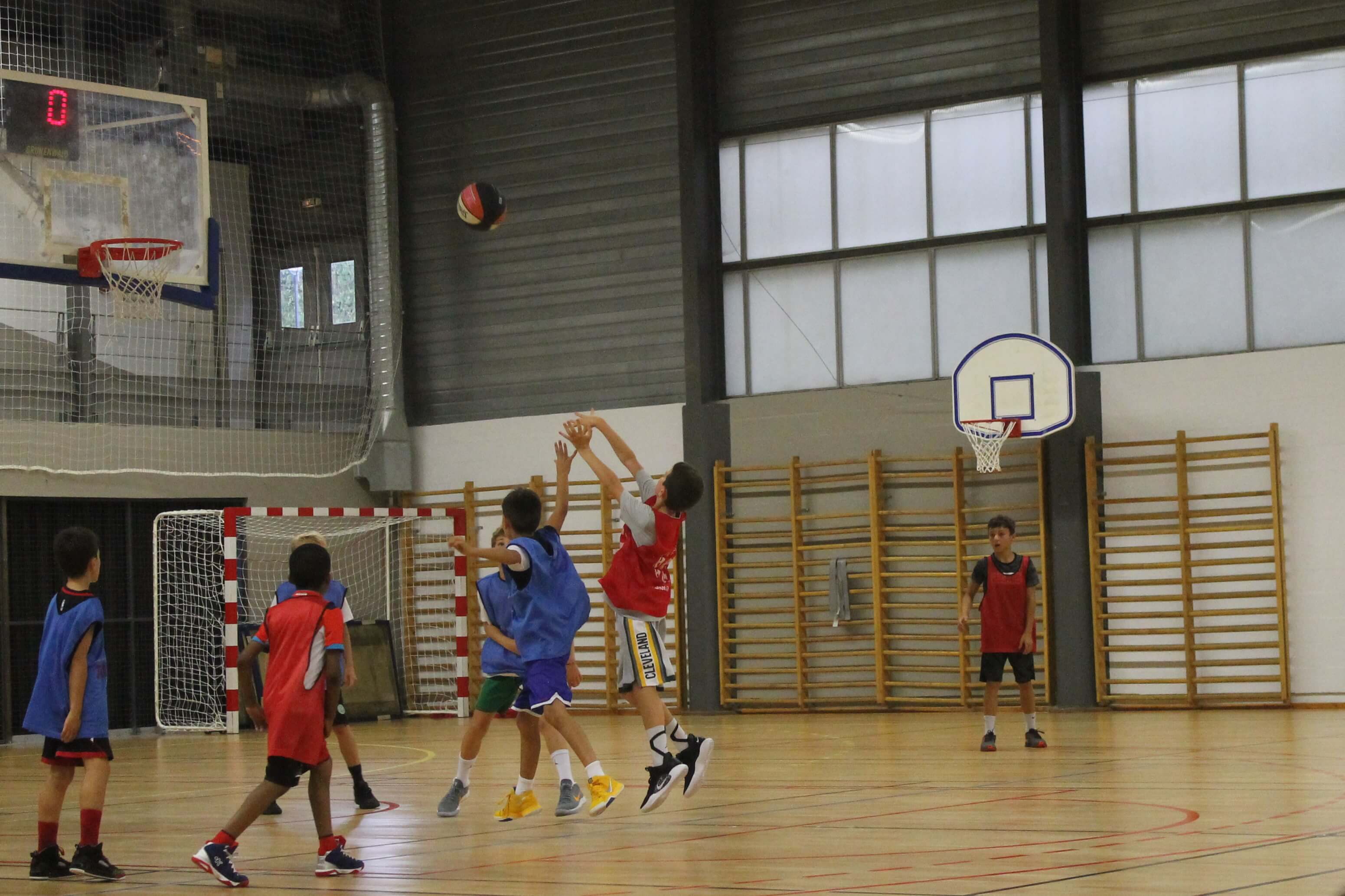 Dunk pro 87 Limoges CSP