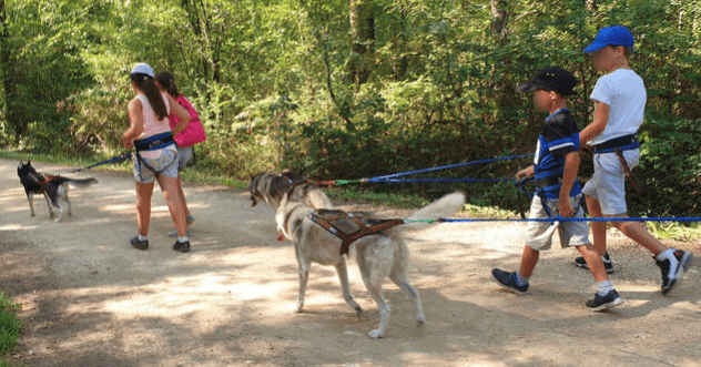 Cani-Rando & multisport en Bretagne