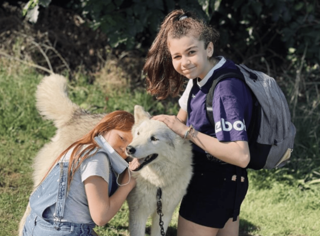 Colonie nos amis les chiens nordiques été