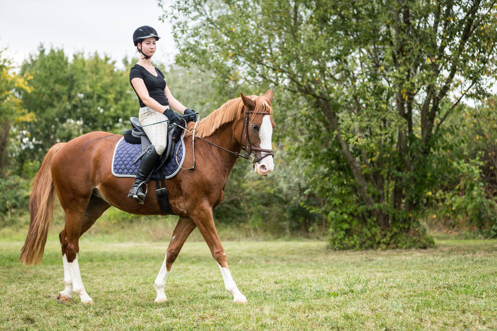 Séjour linguistique anglais et équitation à Oakham School