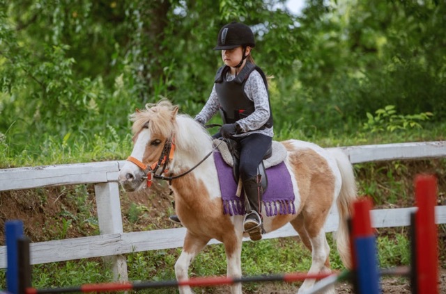 Académie équitation