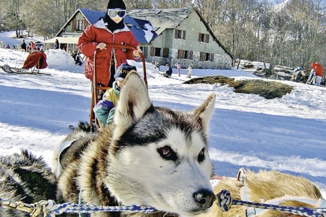 Mushers d'Auvergne (6-13 ans) - Image 2