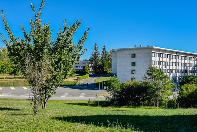Colonie de vacances de Handball en Haute-Vienne  - Image 3