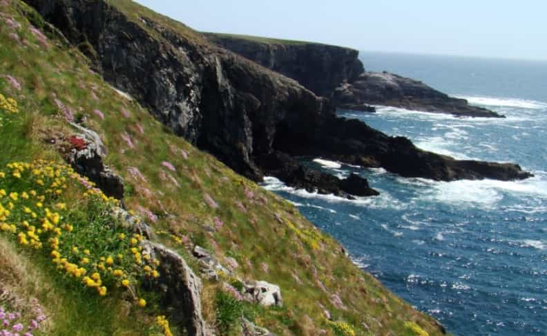 Anglais et football à Cork en résidence - Image 1