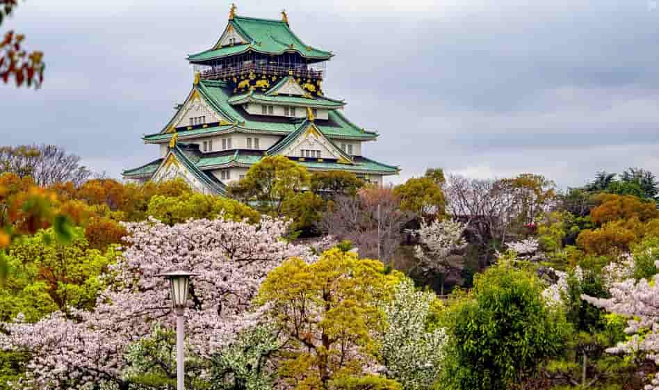 De Osaka à Tokyo, découverte du pays du soleil levant