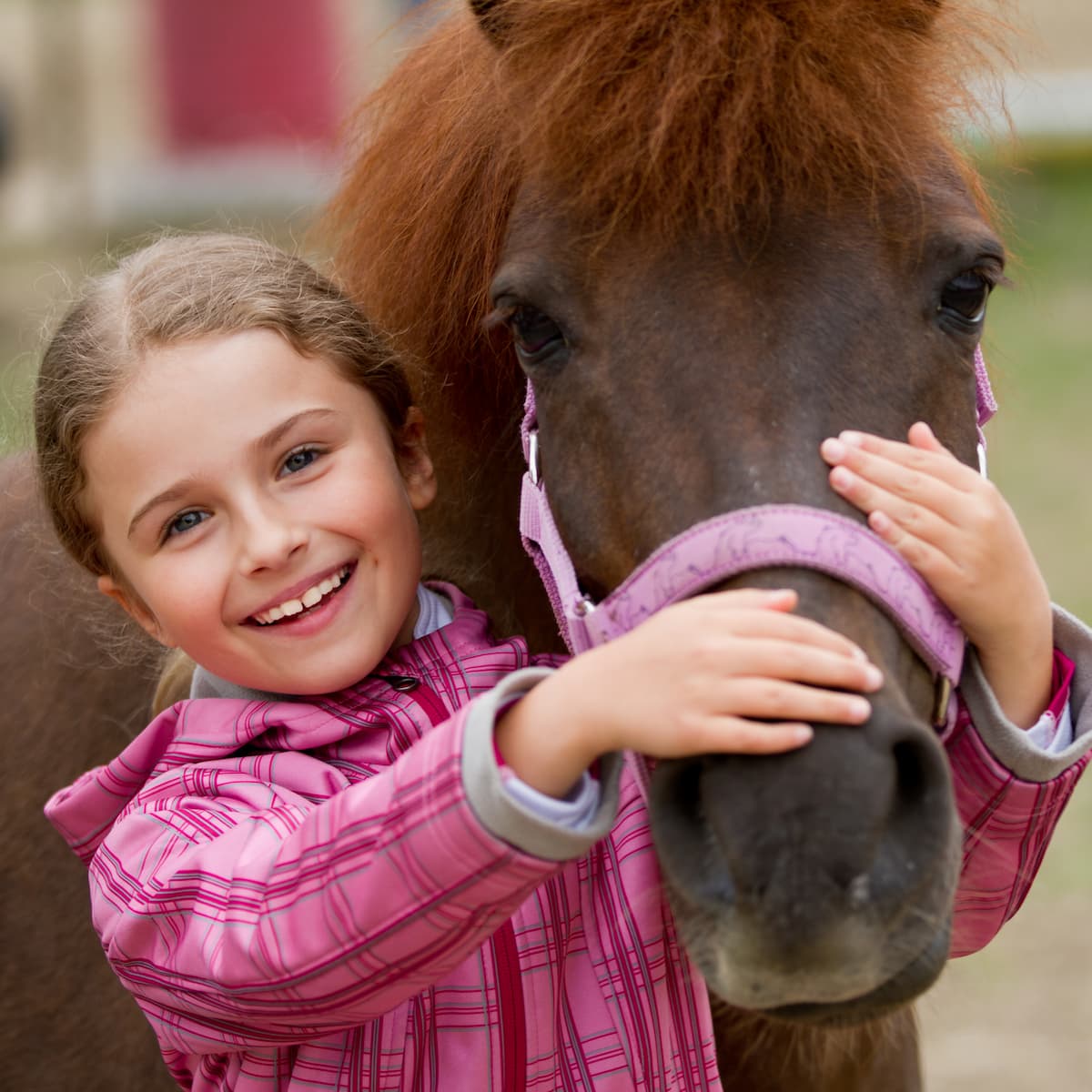 Equitation Loisir à Compreignac