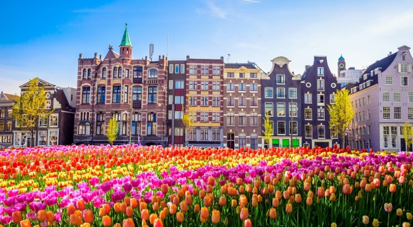 Amsterdam Vibes ! - Image 3