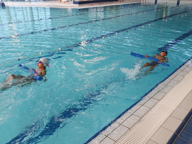 Académie natation dans la Haute-Vienne - Image 2