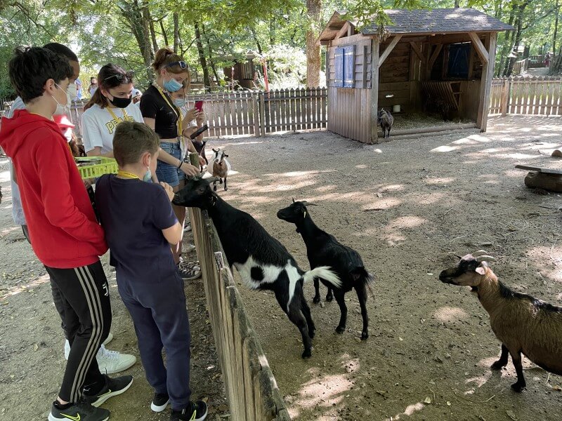 Colonie de vacances animaux dans les Deux-Sèvres  - Image 2