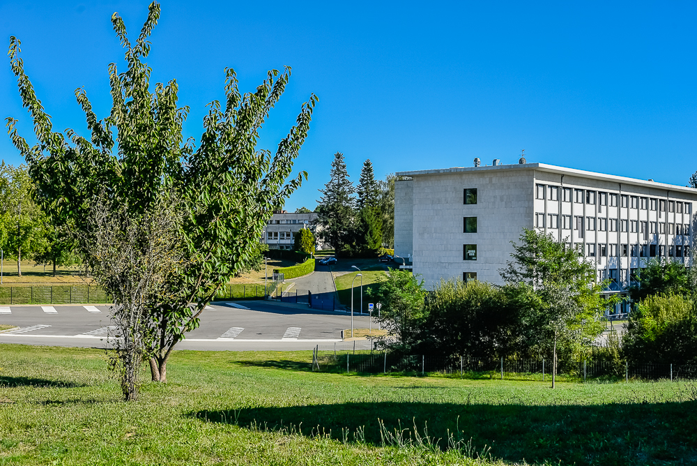 Académie natation dans la Haute-Vienne - Image 3