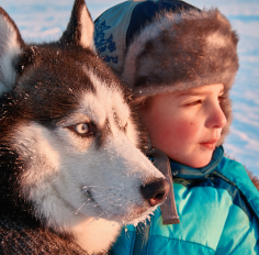 Mes amis les chiens nordiques - Aventures à la montagne ! 