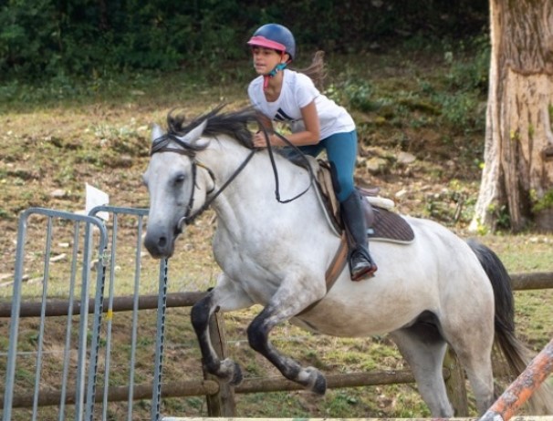 Académie équitation en Haute-Vienne - été