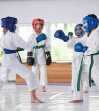Académie sports de combat à Limoges