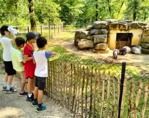 Nature, Zoo et Puy du Fou !