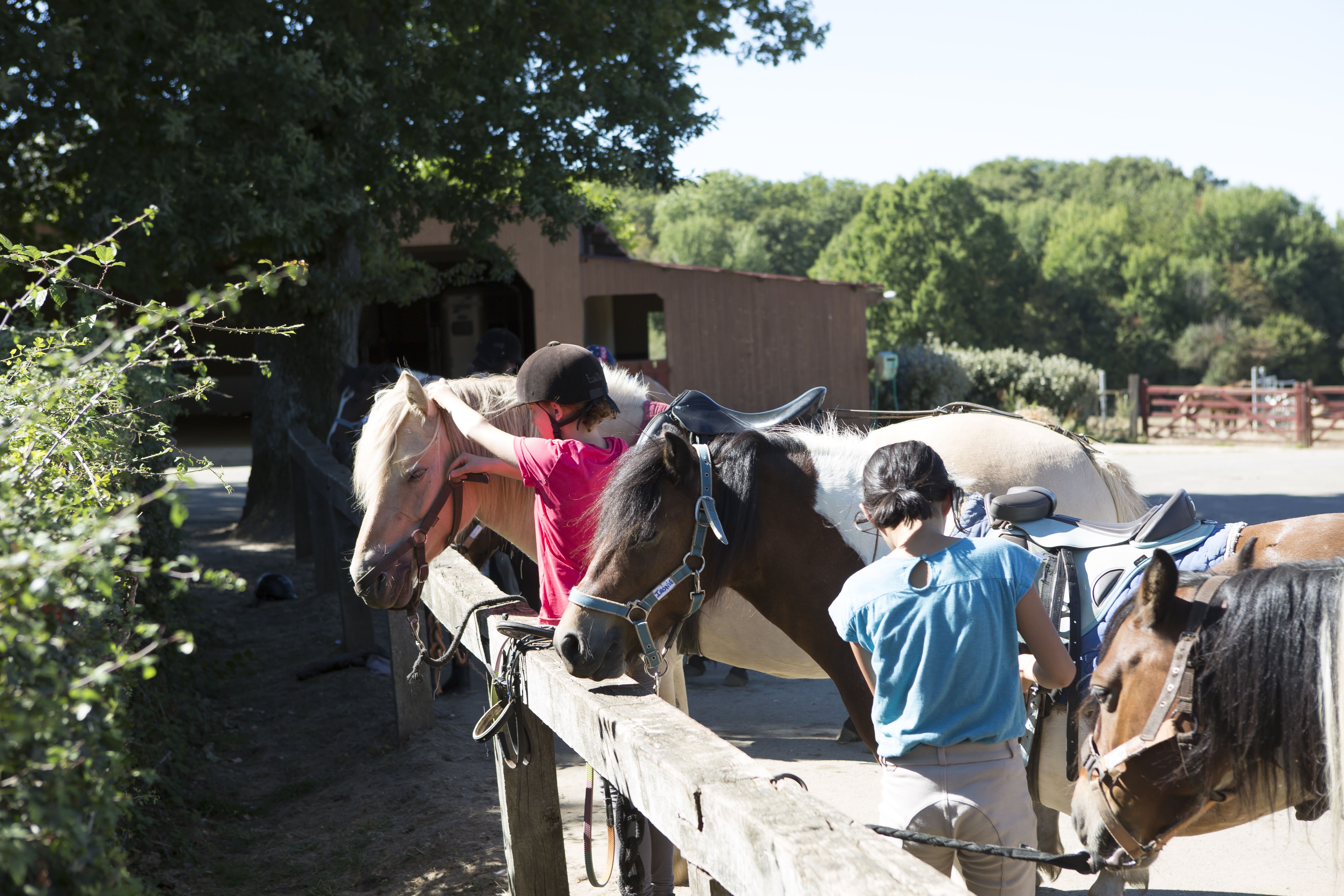 Équitation en Corrèze