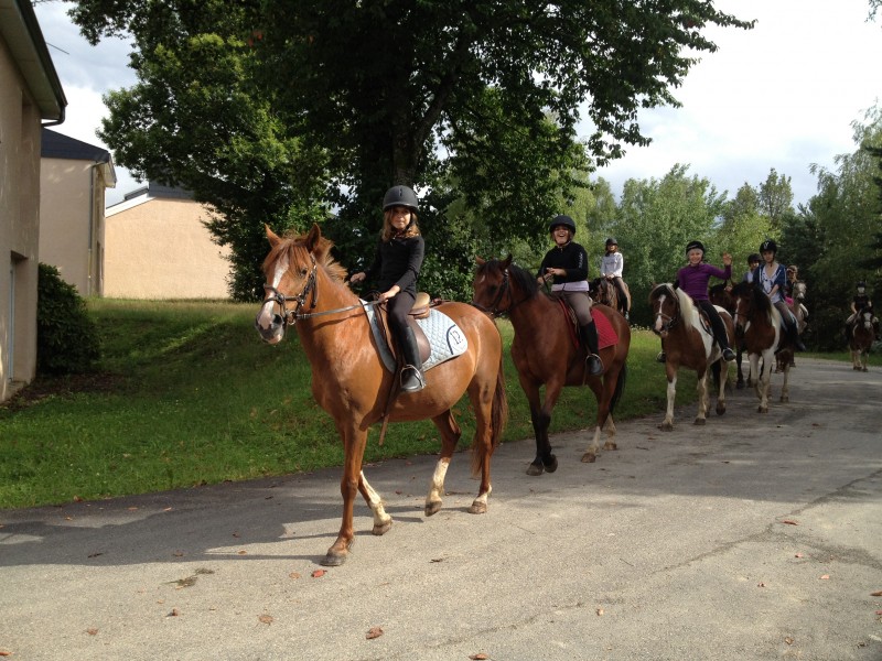 Équitation en Corrèze - Image 3