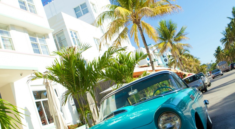 Colonie Floride in English - Image 3