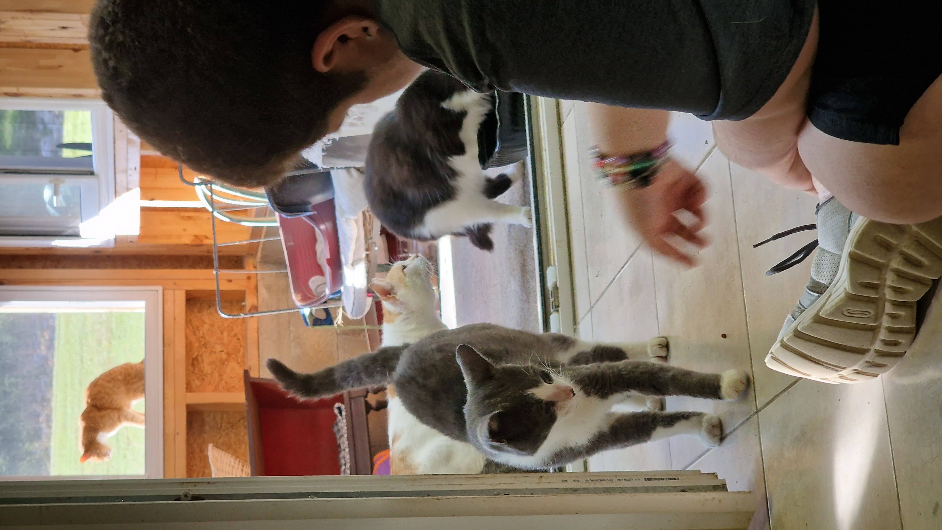 Colo Vacances Utopiques (HJ)